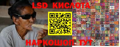 гидропоника Новокубанск
