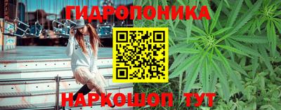 прущие крисы Новодвинск