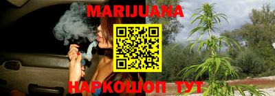 прущие крисы Новодвинск